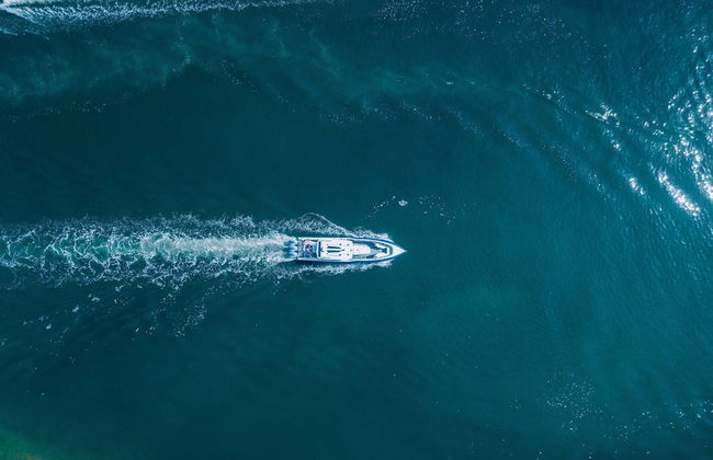 Kingston Arms Modern 1BR On Lido Key - Foto 31