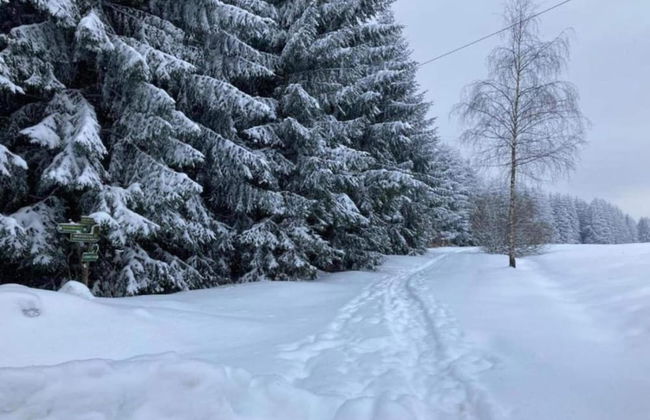 Gorgeous Holiday Home in Altenfeld Thuringia - Foto 65