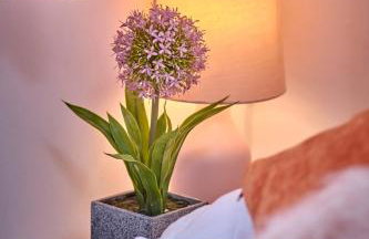 Close to Milton Keynes city center - Foto 18