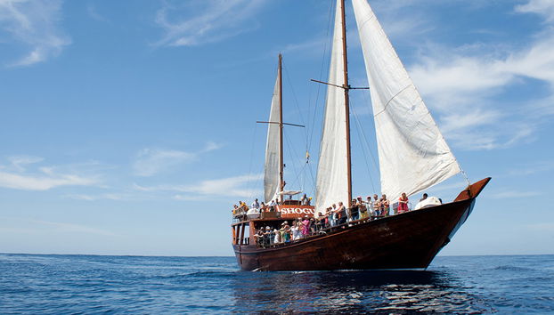 Freebird Katamaran - Direkt - Foto 4