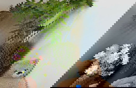 Sol Forest Ecopark Apartments - Photo 27