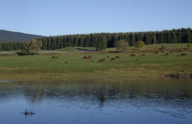 Luxurioser Wellnessaufenthalt in Elend - Foto 37
