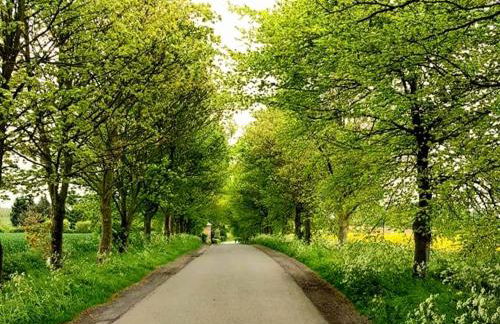 Beautiful 2 Bedroomed Cottage with Garden 10 minutes from Hornsea Beach - Foto 32