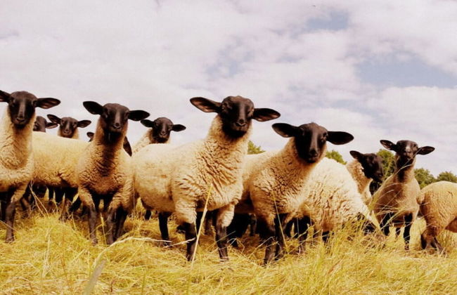 Apartment in Schotten-betzenrod - Foto 10