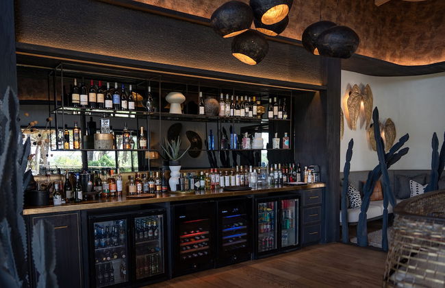 Euphorbia Mashatu - Foto 33