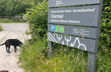 Kabin in the woods with Hot Tub - Foto 76