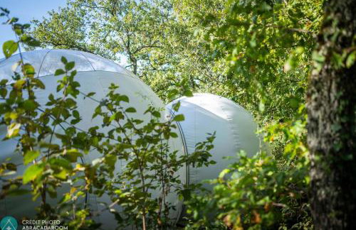 La Canopee - Foto 13