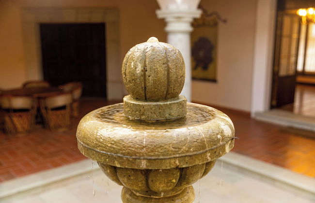 Casa Jacarandas - Photo 60