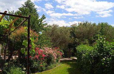 Mare & Bartol - Foto 17