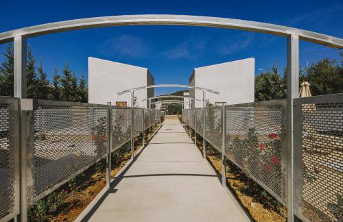 Mini Bella Gonia - Foto 33