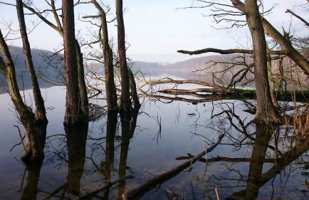Ferienwohnung Riemer - Foto 10