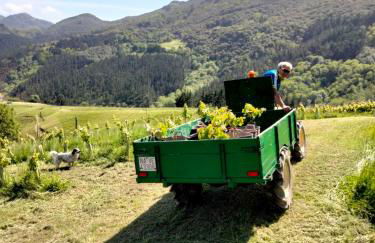 Agroturismo Erlete Goikoa -ESTAMOS EN EL CAMINO DE SANTIAGO -WE ARE ON THE CAMINO DE SANTIAGO- SENDERISMO-RUTAS Y BICICLETA - Photo 14