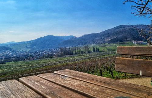 Ferienhaus am Park - Foto 48