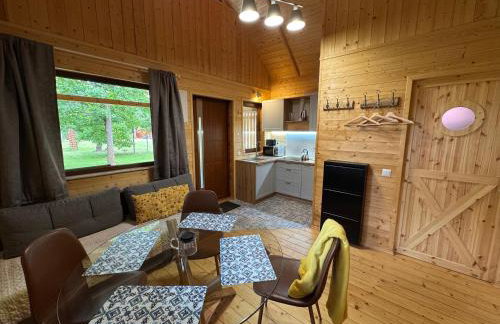 Domki przy jeziorze z prywatną plażą w Borach Tucholskich Pensjonat Alicja wczasy z dziećmi nowe luksusowe domki na skraju jeziora i lasu - Foto 34