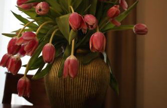 Villa F in Vrgorac - Makarska - Photo 25