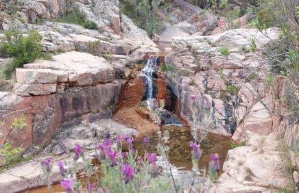 Sa Mesaluna Naturhouse - Foto 2