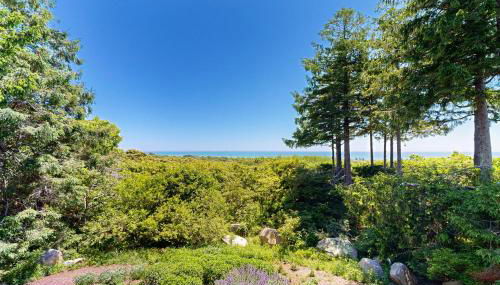 The Eliot Noyes - Foto 5