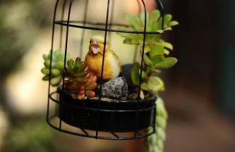 Casa Maracuya, La Palma - Foto 14