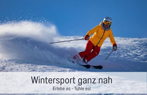 Ferienwohnung im Sauerland Hunde willkommen Kamin und Garten am Waldrand Muehls-Sauerland - Foto 49