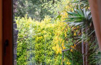 Collina e mare - Foto 43