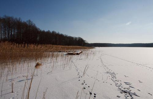 Saunowisko w Krągu - domy Niebieski i Żółty - Foto 11