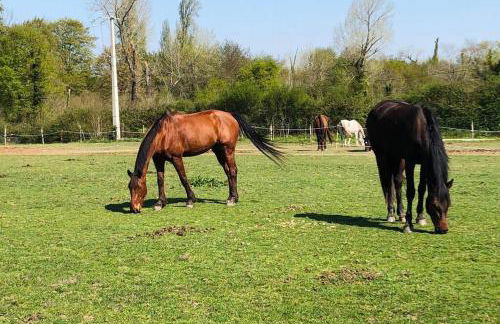 Maisonnette du Haras de l'Olivier - Foto 9