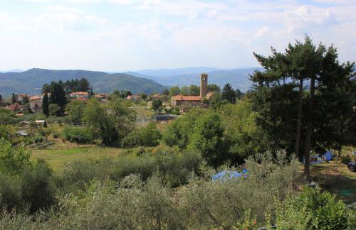 La casetta di campagna Alloggio nel Chianti - Foto 38