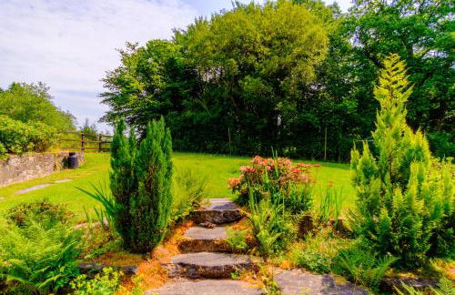 Lakeside Cottage - Photo 12