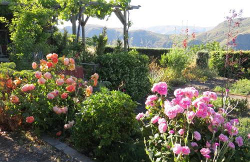 Cortijo Opazo - Foto 28