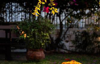 Beetle Villa retro country house - Foto 19