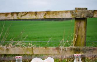 Fallow Lodge - Foto 18