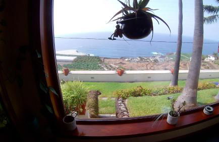 Villa Necho - Foto 22