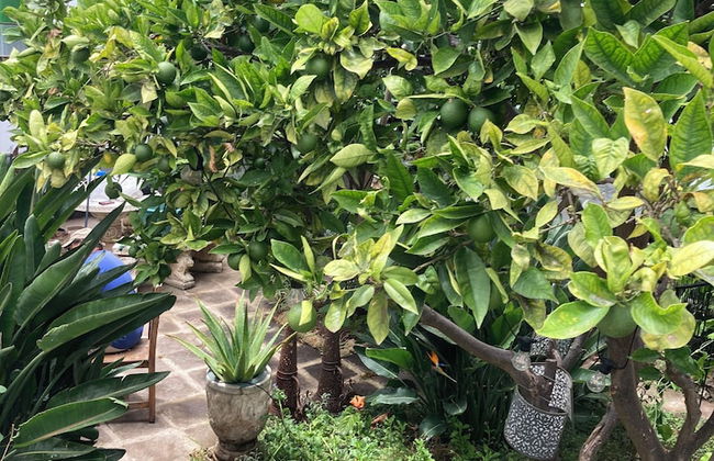 Gato Azul Coliving - Foto 57