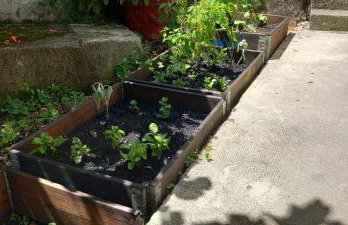 Fran Opatija - Photo 20