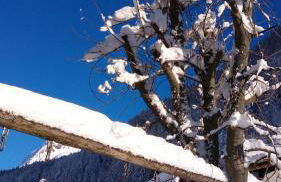 Pension & Appartament Anna - Foto 40