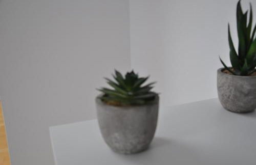 Ferienwohnung "Julka" kostenloses W-LAN - Foto 5