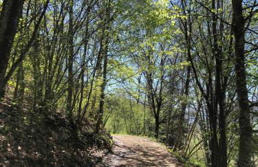 Chalet la Cabane d'Ernestine, petit-déjeuner inclus - Foto 25