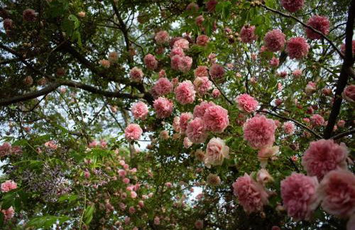 Agriturismo Casa Fiorindo - Foto 17