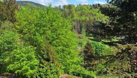 Haus Westharz Goslar - Foto 3