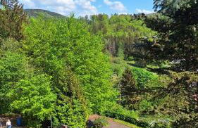 Haus Westharz Goslar - Foto 3