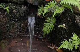 Reserva Atibaia / Casa de Montanha - Photo 50