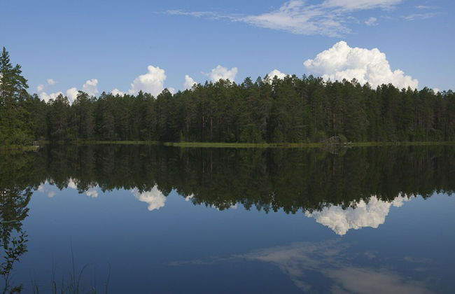 Manamansalo Camping - Foto 22