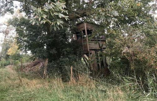 Reetdachhaus, Wilstermarsch - Foto 16