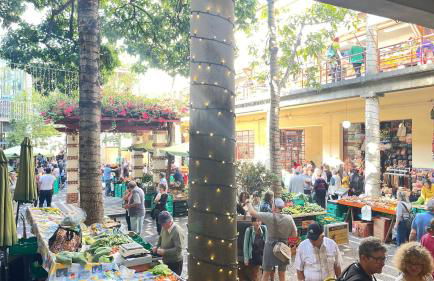 Sea and Sun 4 You - Palheiro Village - Foto 99