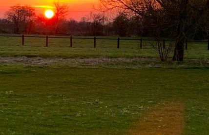 Cosy Shepherd Hut - Foto 17