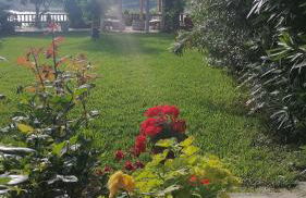 Dionisis Apartments - Photo 11