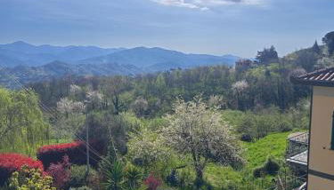 Casa Marì - Photo 4