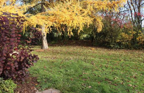 Ferienhaus Robinson Romantikpfad 161 - Foto 12