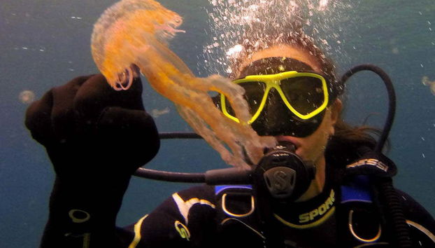 La combinaison vous protégera des piqûres