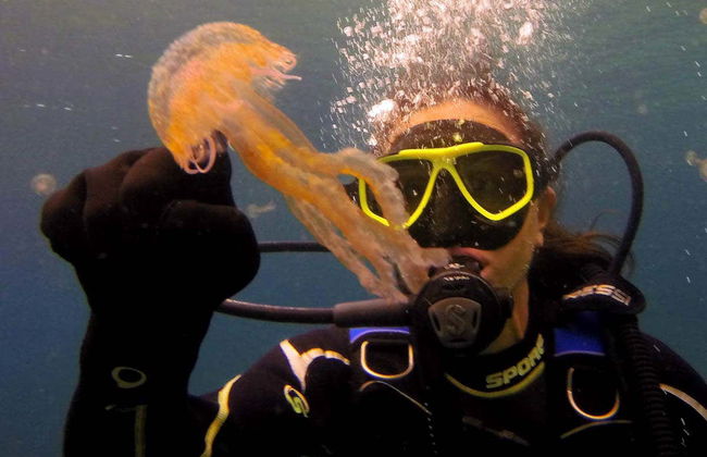 Baptême de plongée à Ceuta - Photo 4